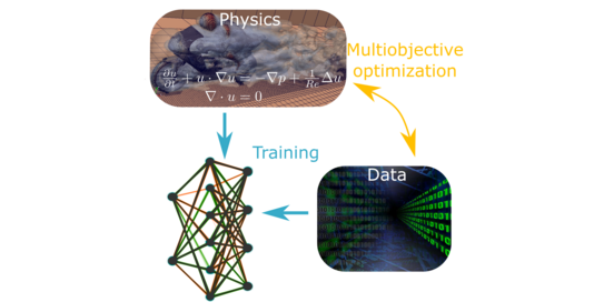 AI Training with Physics Information and Data